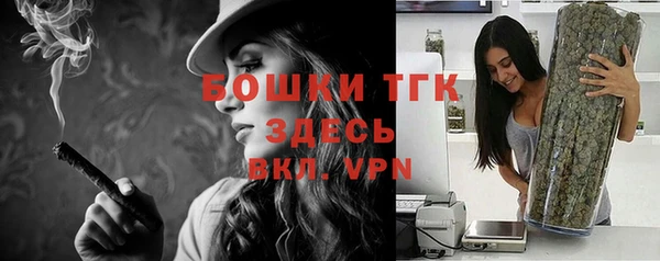 прущие грибы Алексеевка