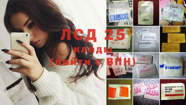PSILOCYBIN Абинск