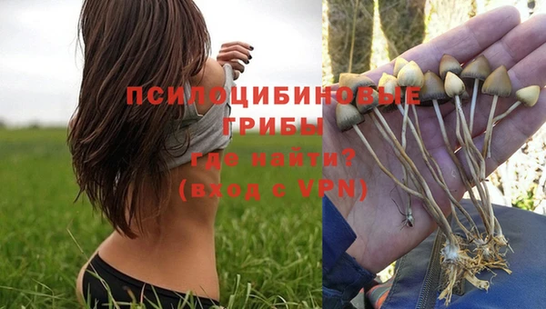 индика Абаза