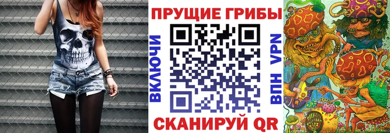 Галлюциногенные грибы Psilocybe  купить закладку  Туринск 
